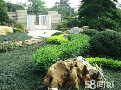 园林景观设计与绿化工程 别墅造景的精髓与养护之道